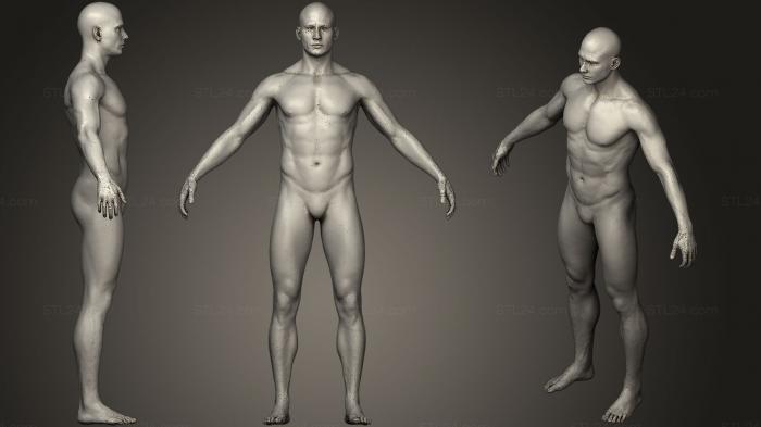 Анатомия скелеты и черепа (Лепка мужского тела, ANTM_0773) 3D модель для ЧПУ станка